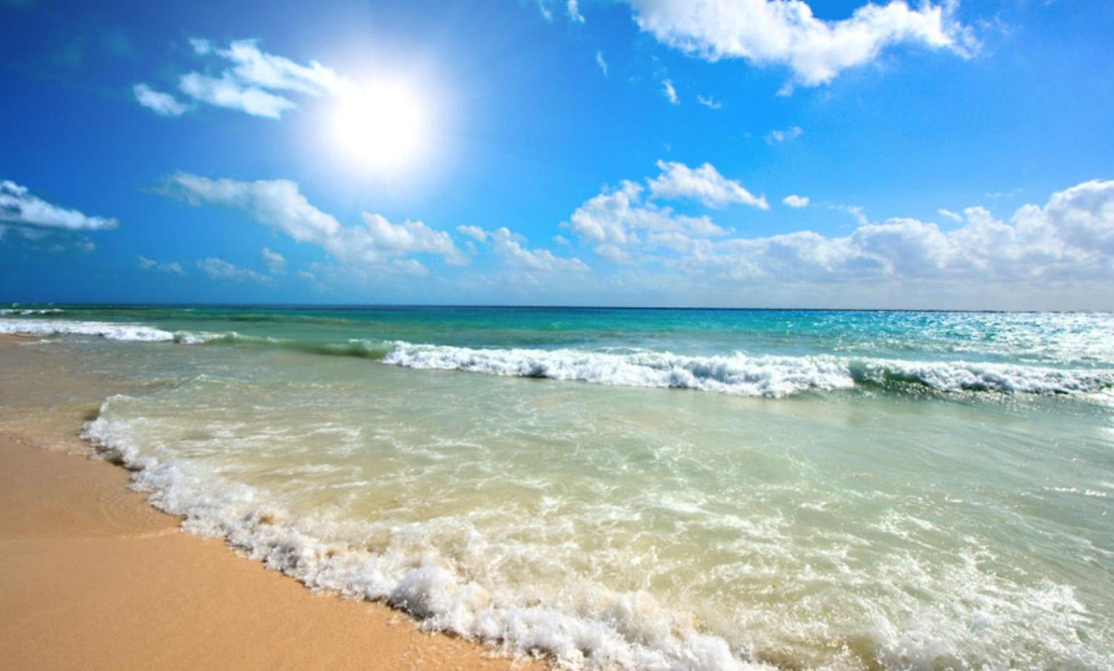 Sunny Beach Plaza 33 Studio Dış mekan fotoğraf